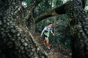 BIB: 
                            <button type="button" onclick="openModal(25392030)" class="btn btn-primary btn-sm float-right btn-popup" data-toggle="modal" data-target=".modal-high-quality">
                        <i class="fas fa-shopping-cart"></i> Add to Cart
                    </button>
                                            <button type="button" onclick="isThisMe(25392030, true)" class="btn btn-success btn-sm float-right btn-popup btn-isme hidden" data-toggle="tooltip" data-placement="bottom" title="นี่คือรูปของคุณใช่ไหม คลิกที่นี่เพื่อเอาเข้าอัลบั้ม">
                        <i class="fas fa-plus"></i> Add to album
                    </button>
                    <button type="button" onclick="isThisMe(25392030, false)" class="btn btn-warning btn-sm float-right btn-popup btn-isnotme hidden">
                        <i class="fas fa-ban"></i> Remove from album
                    </button>